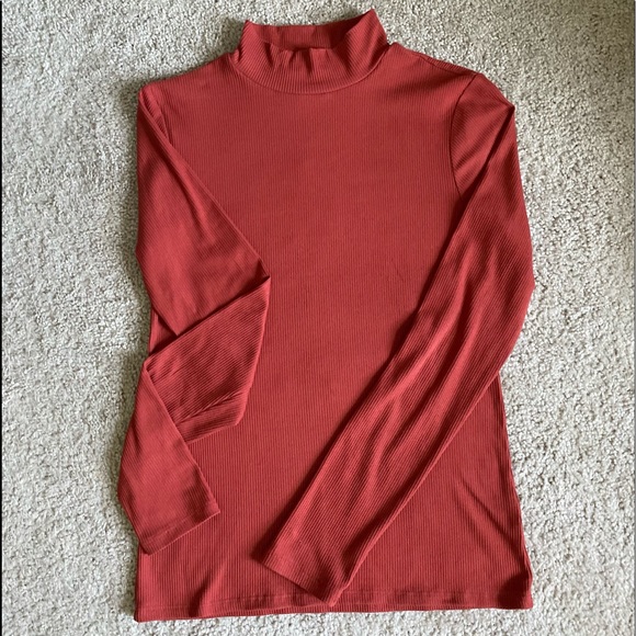 Rust/Burnt Orange | Ribbed Turtleneck - Picture 2 of 2